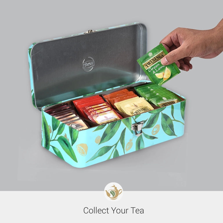 lata-empaque-te-diseno